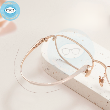 Gọng kính kim loại mã 6173